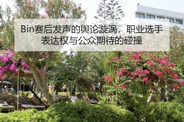 sai-hou-fa-sheng-de-yu-lun-xuan-wo-zhi-ye-xuan-shou-biao-da-quan-yu-gong-zhong-qi-dai-de-peng-zhuang-2-165.jpg